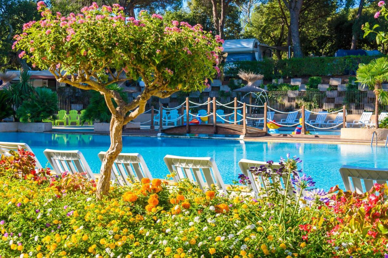 3 Bedroom Chalets Camping Lei Suves - Joycasa Roquebrune-sur-Argens Buitenkant foto